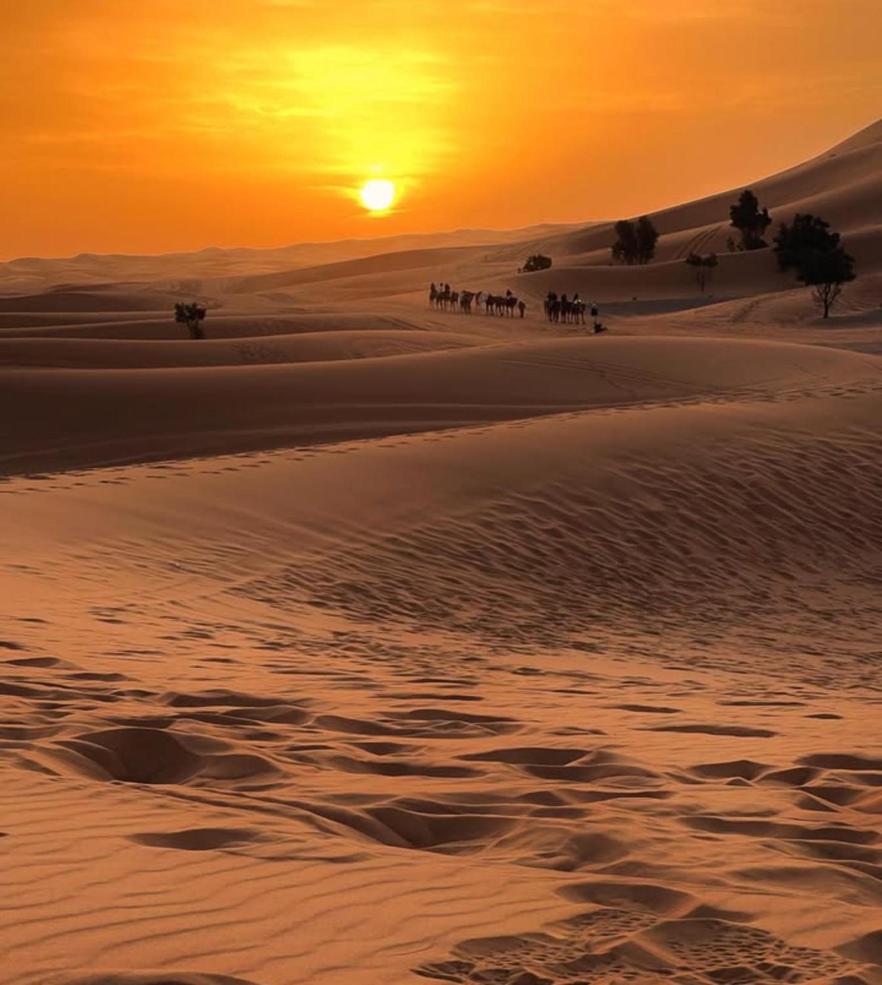 Merzouga Desert Campsite &Activities Exterior photo